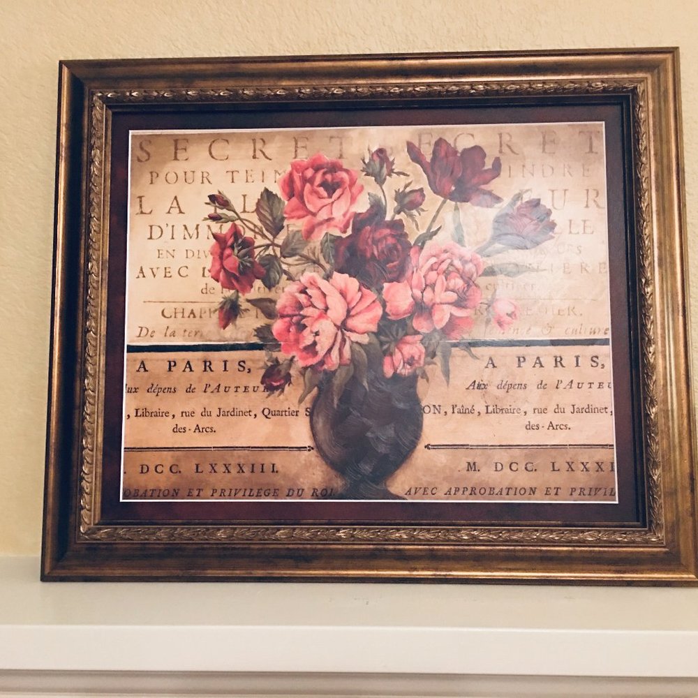 Framed Art, Paris Rose by Kimberly Poloson 20 x 24